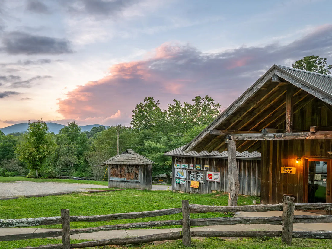 The Unspoken Language of Community