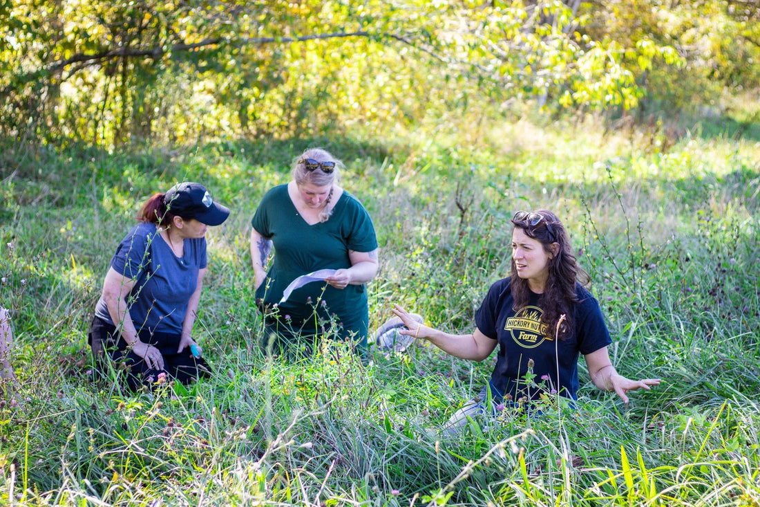 What does Regeneratively Raised mean?